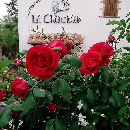 Alloggio per agriturismo Agriturismo La Chiocciola Poggio Murella