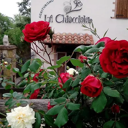 Lantgård La Chiocciola Poggio Murella